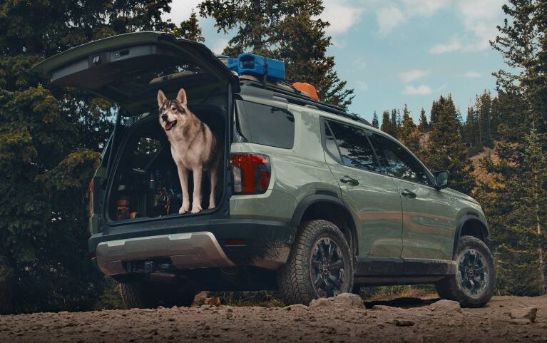 2027 Honda Passport TrailSport Elite in Ash Green Metallic back forest trail with a dog in the trunk (Mid-Size SUV).